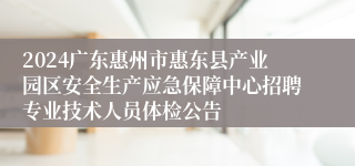 2024广东惠州市惠东县产业园区安全生产应急保障中心招聘专业技术人员体检公告