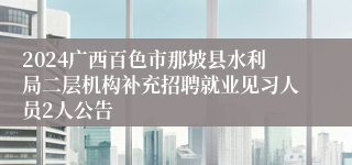 2024广西百色市那坡县水利局二层机构补充招聘就业见习人员2人公告