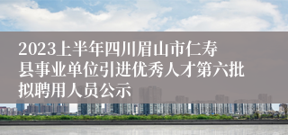 2023上半年四川眉山市仁寿县事业单位引进优秀人才第六批拟聘用人员公示