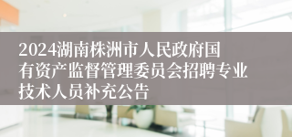 2024湖南株洲市人民政府国有资产监督管理委员会招聘专业技术人员补充公告