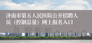 济南市第五人民医院公开招聘人员（控制总量）网上报名入口