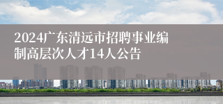 2024广东清远市招聘事业编制高层次人才14人公告