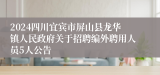 2024四川宜宾市屏山县龙华镇人民政府关于招聘编外聘用人员5人公告