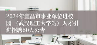 2024年宜昌市事业单位进校园 （武汉理工大学站）人才引进招聘60人公告