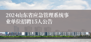 2024山东省应急管理系统事业单位招聘15人公告