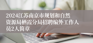 2024江苏南京市规划和自然资源局栖霞分局招聘编外工作人员2人简章