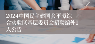 2024中国民主建国会平潭综合实验区基层委员会招聘编外1人公告