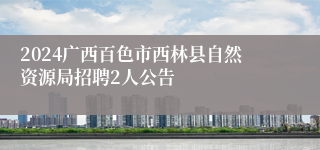 2024广西百色市西林县自然资源局招聘2人公告