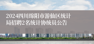 2024四川绵阳市游仙区统计局招聘2名统计协统员公告