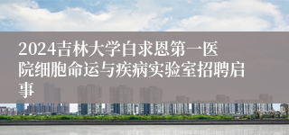 2024吉林大学白求恩第一医院细胞命运与疾病实验室招聘启事