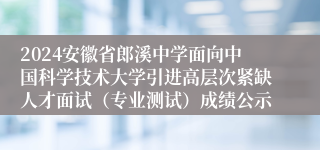 2024安徽省郎溪中学面向中国科学技术大学引进高层次紧缺人才面试（专业测试）成绩公示