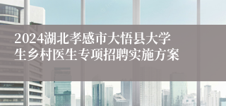 2024湖北孝感市大悟县大学生乡村医生专项招聘实施方案