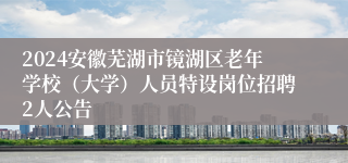 2024安徽芜湖市镜湖区老年学校（大学）人员特设岗位招聘2人公告