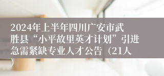 2024年上半年四川广安市武胜县“小平故里英才计划”引进急需紧缺专业人才公告（21人）