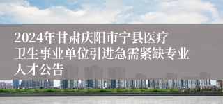 2024年甘肃庆阳市宁县医疗卫生事业单位引进急需紧缺专业人才公告