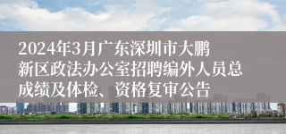 2024年3月广东深圳市大鹏新区政法办公室招聘编外人员总成绩及体检、资格复审公告