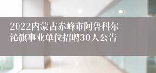2022内蒙古赤峰市阿鲁科尔沁旗事业单位招聘30人公告