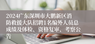 2024广东深圳市大鹏新区消防救援大队招聘1名编外人员总成绩及体检、资格复审、考察公告