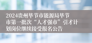 2024贵州毕节市能源局毕节市第一批次“人才强市”引才计划岗位继续接受报名公告