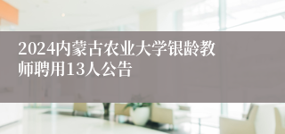 2024内蒙古农业大学银龄教师聘用13人公告