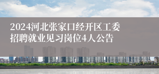 2024河北张家口经开区工委招聘就业见习岗位4人公告