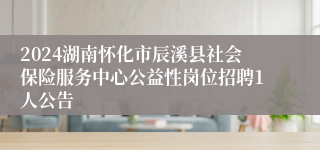 2024湖南怀化市辰溪县社会保险服务中心公益性岗位招聘1人公告