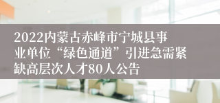 2022内蒙古赤峰市宁城县事业单位“绿色通道”引进急需紧缺高层次人才80人公告