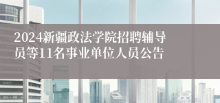 2024新疆政法学院招聘辅导员等11名事业单位人员公告