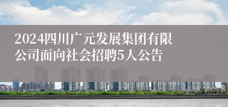 2024四川广元发展集团有限公司面向社会招聘5人公告