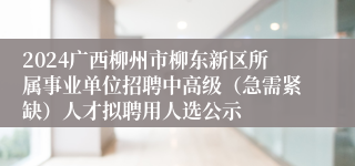 2024广西柳州市柳东新区所属事业单位招聘中高级（急需紧缺）人才拟聘用人选公示