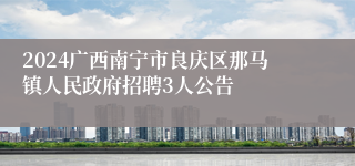 2024广西南宁市良庆区那马镇人民政府招聘3人公告