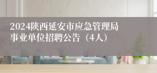 2024陕西延安市应急管理局事业单位招聘公告（4人）