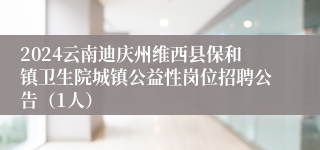 2024云南迪庆州维西县保和镇卫生院城镇公益性岗位招聘公告（1人）