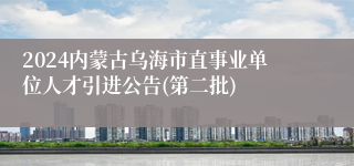 2024内蒙古乌海市直事业单位人才引进公告(第二批)