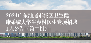 2024广东汕尾市城区卫生健康系统大学生乡村医生专项招聘1人公告（第二批）