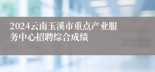 2024云南玉溪市重点产业服务中心招聘综合成绩