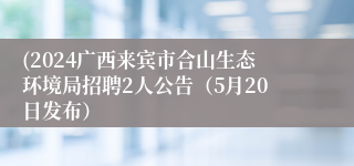 (2024广西来宾市合山生态环境局招聘2人公告（5月20日发布）