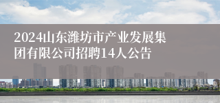 2024山东潍坊市产业发展集团有限公司招聘14人公告