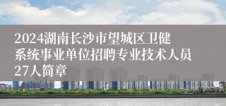 2024湖南长沙市望城区卫健系统事业单位招聘专业技术人员27人简章