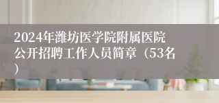 2024年潍坊医学院附属医院公开招聘工作人员简章（53名）