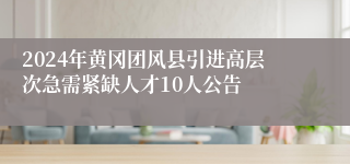 2024年黄冈团风县引进高层次急需紧缺人才10人公告