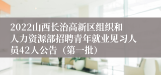 2022山西长治高新区组织和人力资源部招聘青年就业见习人员42人公告（第一批）