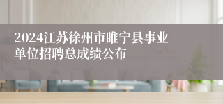 2024江苏徐州市睢宁县事业单位招聘总成绩公布