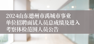 2024山东德州市禹城市事业单位招聘面试人员总成绩及进入考察体检范围人员公告