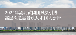 2024年湖北黄冈团风县引进高层次急需紧缺人才10人公告