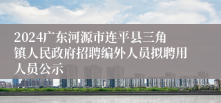 2024广东河源市连平县三角镇人民政府招聘编外人员拟聘用人员公示