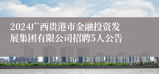 2024广西贵港市金融投资发展集团有限公司招聘5人公告