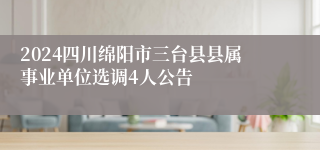 2024四川绵阳市三台县县属事业单位选调4人公告