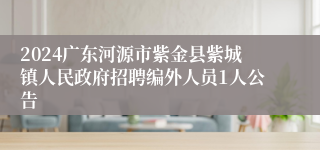 2024广东河源市紫金县紫城镇人民政府招聘编外人员1人公告