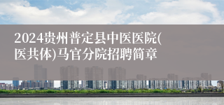 2024贵州普定县中医医院(医共体)马官分院招聘简章